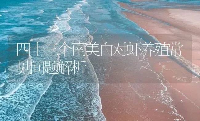 四十三个南美白对虾养殖常见问题解析 | 海水养殖