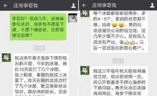 春季海参不下滩 这样做 你可以看到意想不到的效果