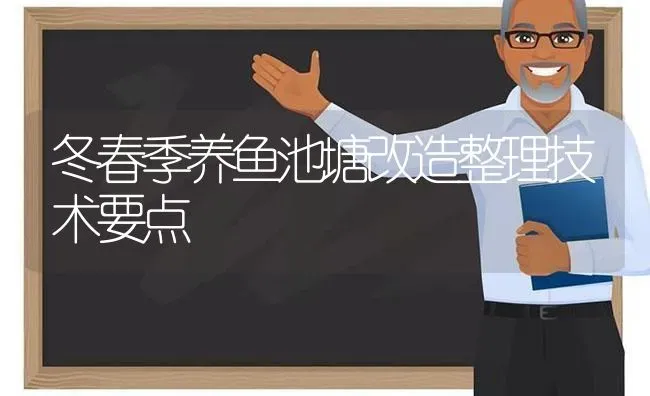 冬春季养鱼池塘改造整理技术要点 | 动物养殖百科