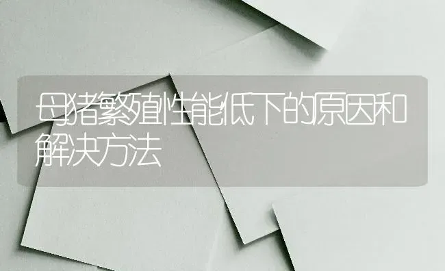 母猪繁殖性能低下的原因和解决方法 | 家畜养殖