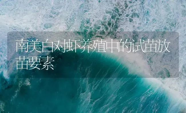 南美白对虾养殖中的试苗放苗要素 | 海水养殖