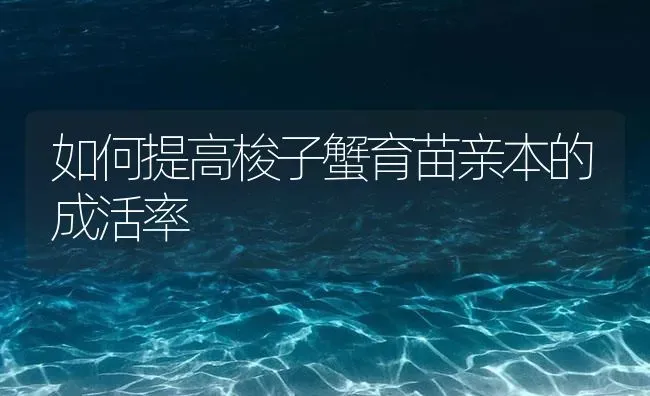 如何提高梭子蟹育苗亲本的成活率 | 海水养殖