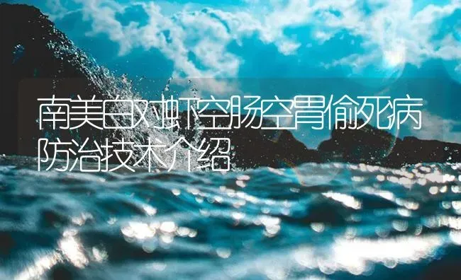 南美白对虾空肠空胃偷死病防治技术介绍 | 海水养殖