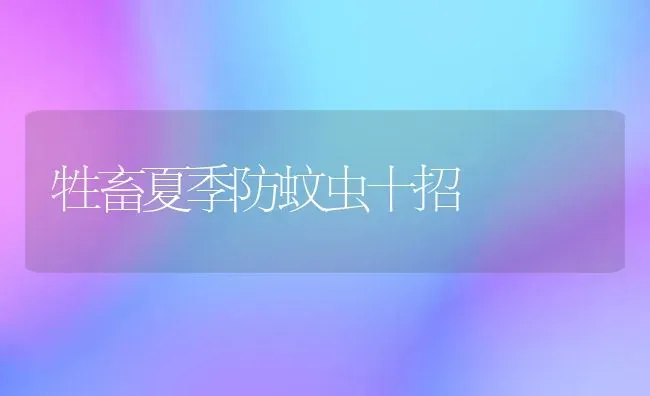 牲畜夏季防蚊虫十招 | 家畜养殖