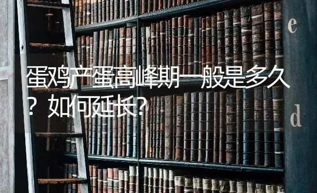 蛋鸡产蛋高峰期一般是多久？如何延长？ | 家禽养殖