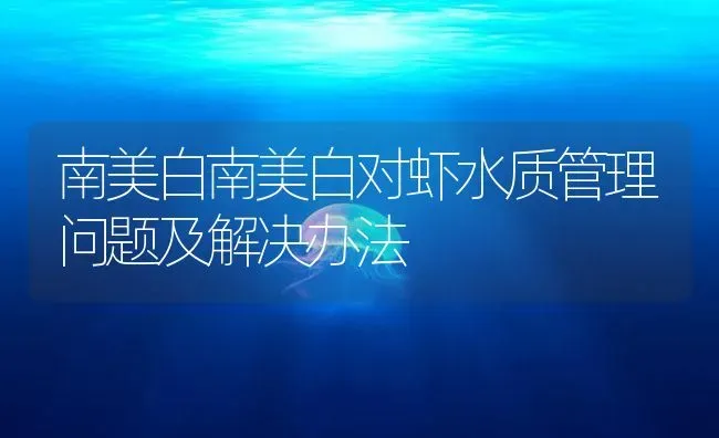 南美白南美白对虾水质管理问题及解决办法 | 海水养殖