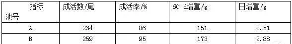 用中草药防治大菱鲆肠炎病技术