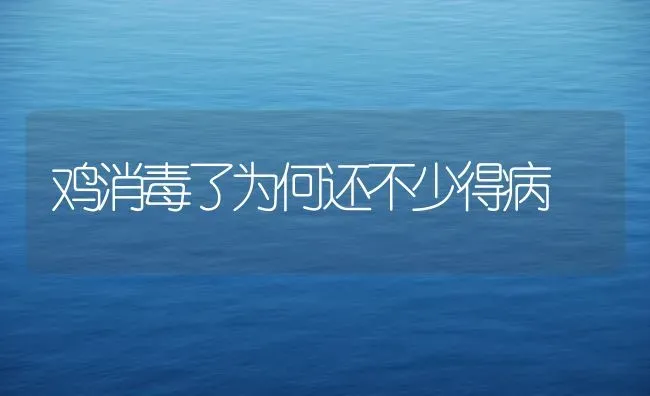 鸡消毒了为何还不少得病 | 家禽养殖