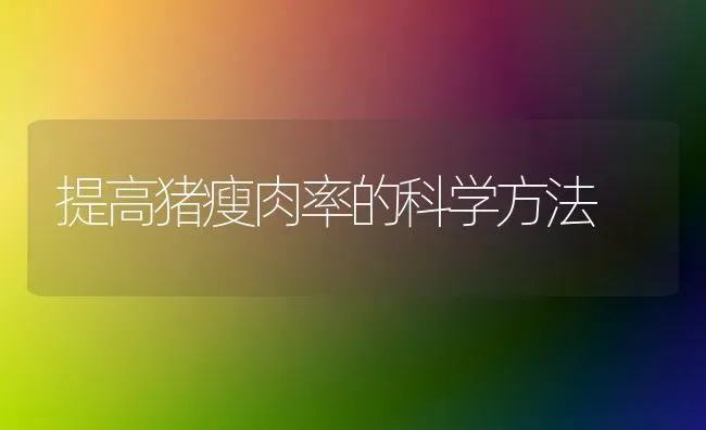 提高猪瘦肉率的科学方法 | 家畜养殖