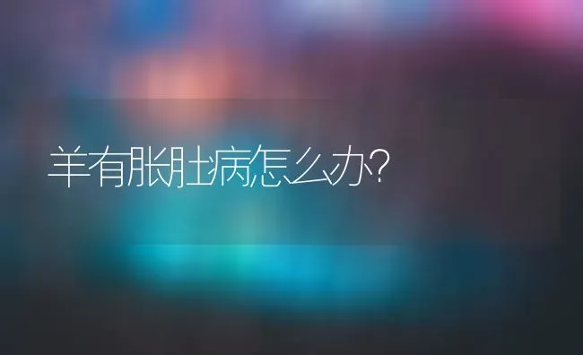 羊有胀肚病怎么办？ | 家畜养殖