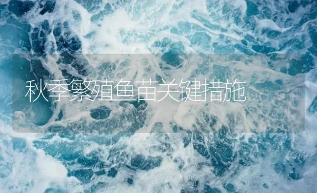 秋季繁殖鱼苗关键措施 | 淡水养殖