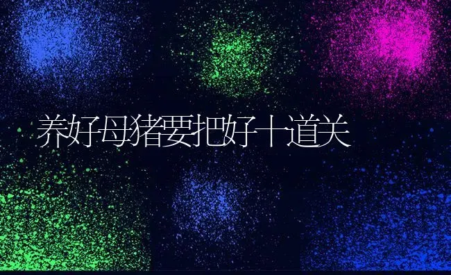 养好母猪要把好十道关 | 家畜养殖