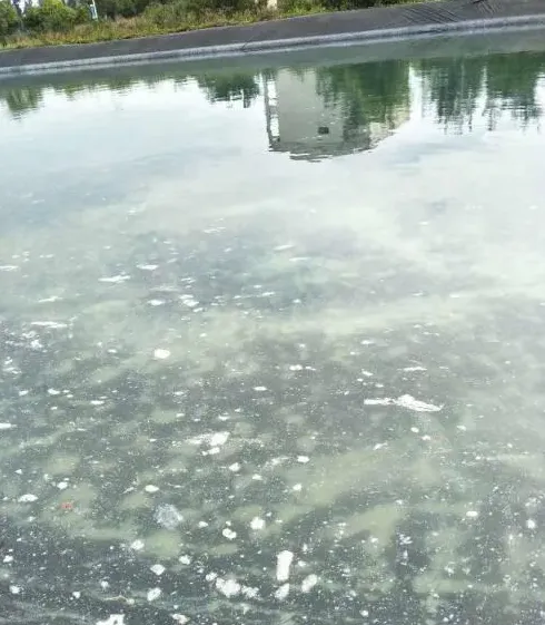 别拿进水当儿戏，当对虾塘蓄水池出现白色悬浮物，你怎么处理？
