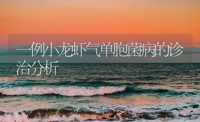 一例小龙虾气单胞菌病的诊治分析 | 海水养殖
