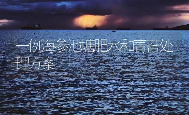 一例海参池塘肥水和青苔处理方案 | 海水养殖