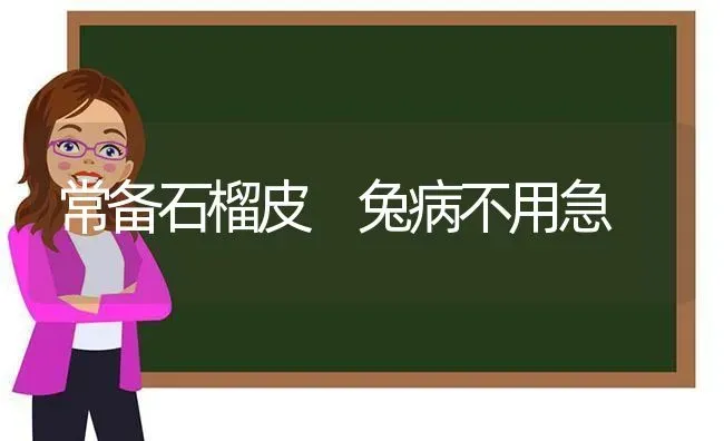 常备石榴皮 兔病不用急 | 家畜养殖