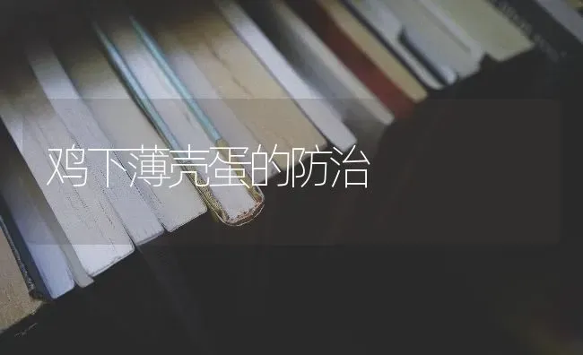 鸡下薄壳蛋的防治 | 家禽养殖