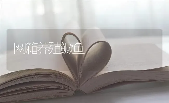 网箱养殖鳜鱼 | 淡水养殖