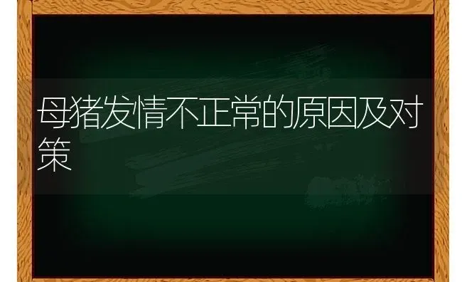 母猪发情不正常的原因及对策 | 家畜养殖