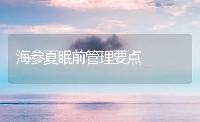 海参夏眠前管理要点 | 海水养殖