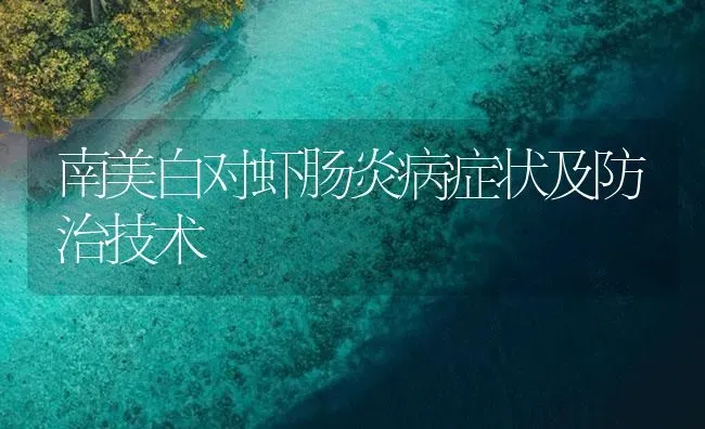 南美白对虾肠炎病症状及防治技术 | 海水养殖