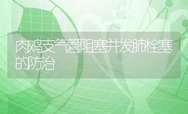 肉鸡支气管阻塞并发肺栓塞的防治 | 家禽养殖