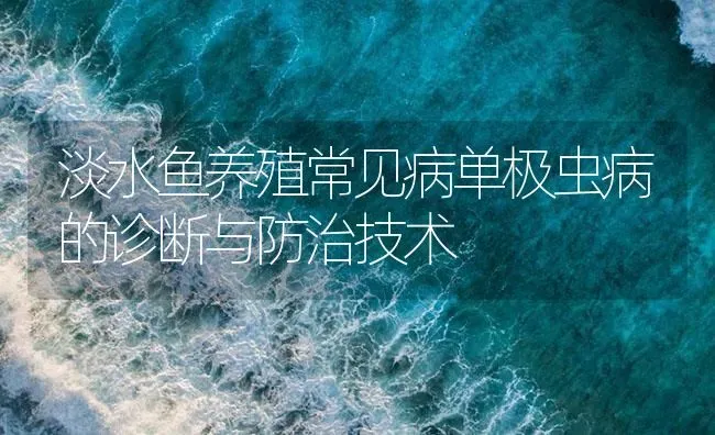 淡水鱼养殖常见病单极虫病的诊断与防治技术 | 养殖病虫害防治