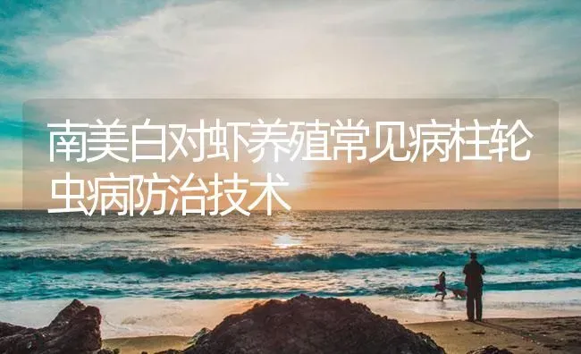 南美白对虾养殖常见病柱轮虫病防治技术 | 海水养殖