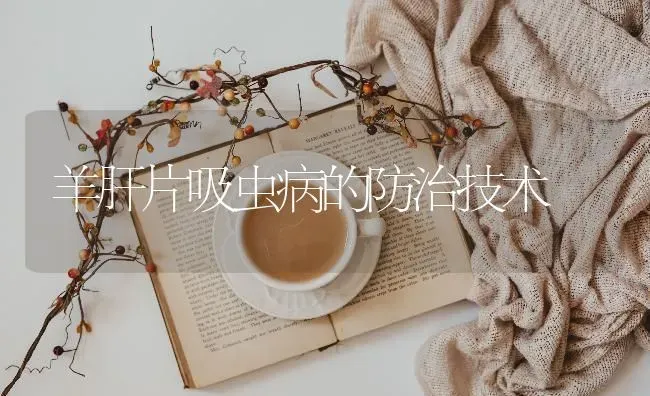 羊肝片吸虫病的防治技术 | 家畜养殖