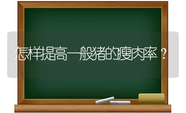 怎样提高一般猪的瘦肉率？ | 家畜养殖