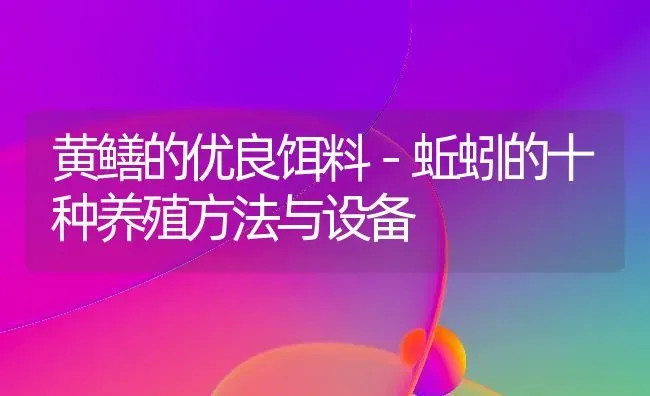 黄鳝的优良饵料－蚯蚓的十种养殖方法与设备 | 动物养殖百科