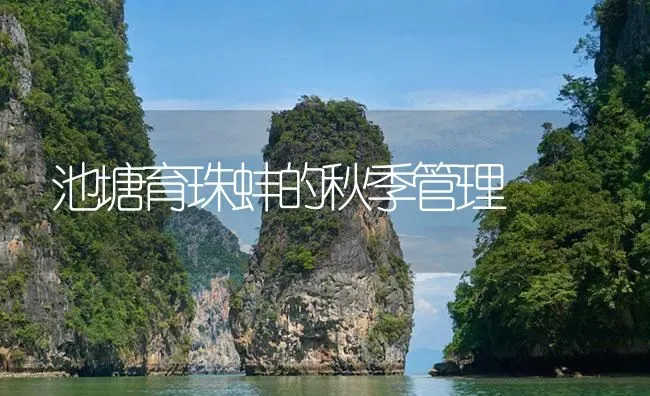 池塘育珠蚌的秋季管理 | 淡水养殖