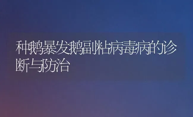种鹅暴发鹅副粘病毒病的诊断与防治 | 家禽养殖
