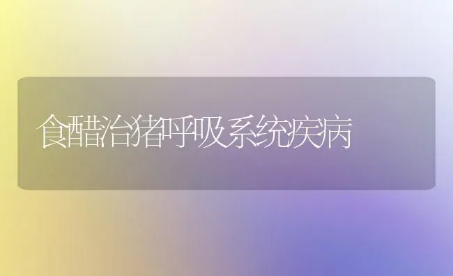 食醋治猪呼吸系统疾病 | 家畜养殖