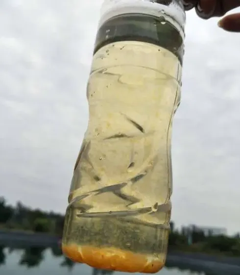 别拿进水当儿戏，当对虾塘蓄水池出现白色悬浮物，你怎么处理？
