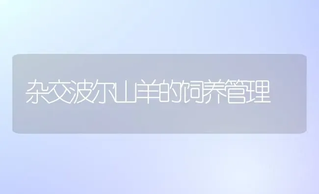 杂交波尔山羊的饲养管理 | 家畜养殖