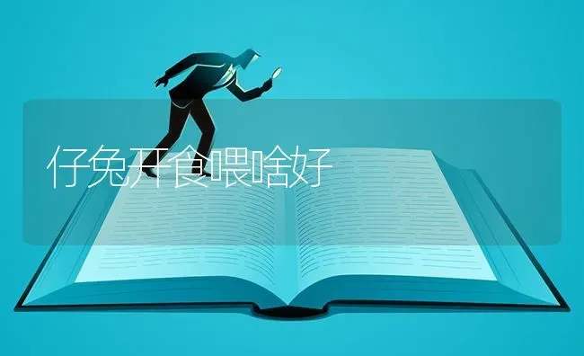 仔兔开食喂啥好 | 家畜养殖