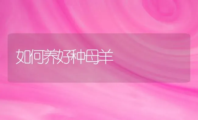 如何养好种母羊 | 家畜养殖