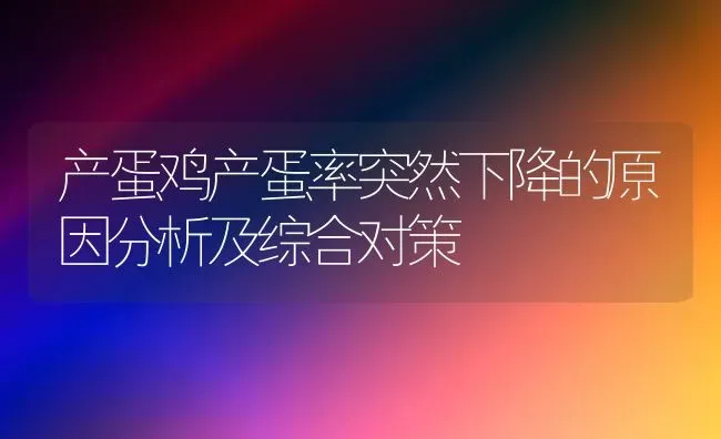 产蛋鸡产蛋率突然下降的原因分析及综合对策 | 家禽养殖