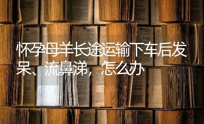 怀孕母羊长途运输下车后发呆、流鼻涕，怎么办 | 家畜养殖