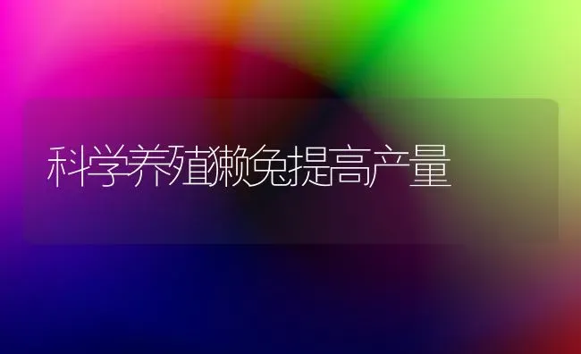 科学养殖獭兔提高产量 | 家畜养殖