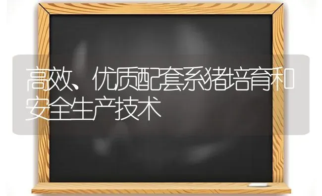 高效、优质配套系猪培育和安全生产技术 | 家畜养殖