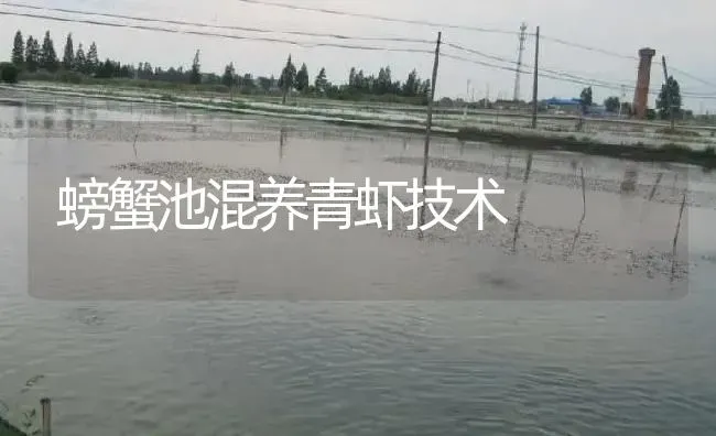 螃蟹池混养青虾技术 | 淡水养殖