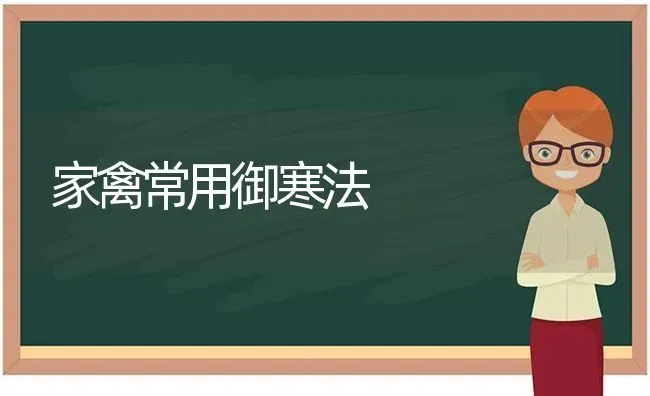 家禽常用御寒法 | 家禽养殖