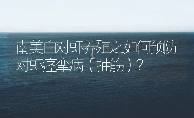 南美白对虾养殖之如何预防对虾痉挛病（抽筋）？ | 海水养殖