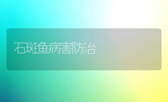 石斑鱼病害防治 | 淡水养殖