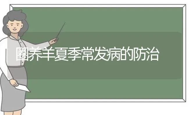 圈养羊夏季常发病的防治 | 家畜养殖