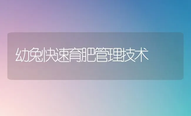 幼兔快速育肥管理技术 | 家畜养殖