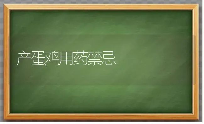 产蛋鸡用药禁忌 | 养殖病虫害防治