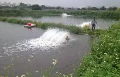 连续阴雨天池塘亚硝酸盐偏高的处理方法